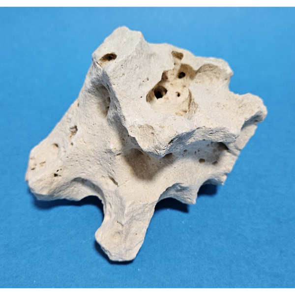 Orbit Lochgestein Sansibar S #092