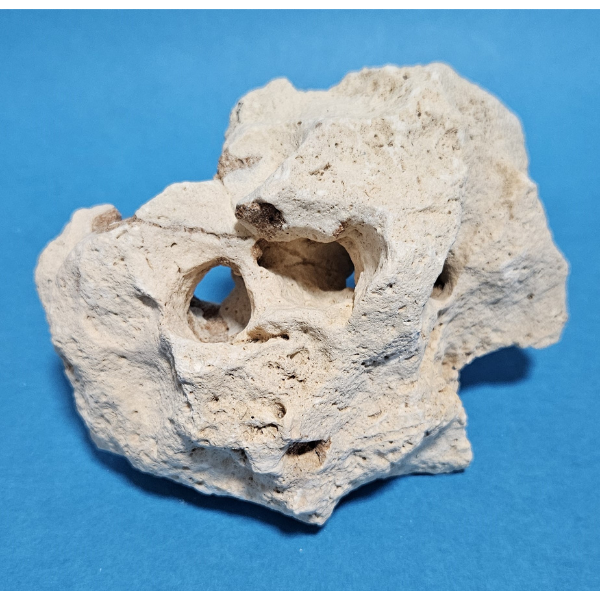 Orbit Lochgestein Sansibar S #093