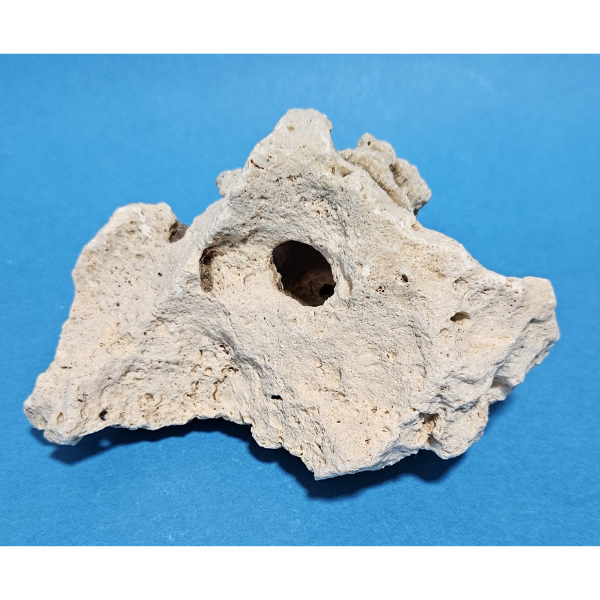 Orbit Lochgestein Sansibar S #094