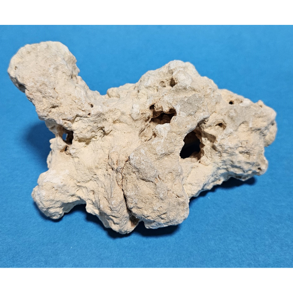 Orbit Lochgestein Sansibar S #097