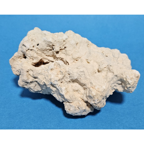 Orbit Lochgestein Sansibar S #097