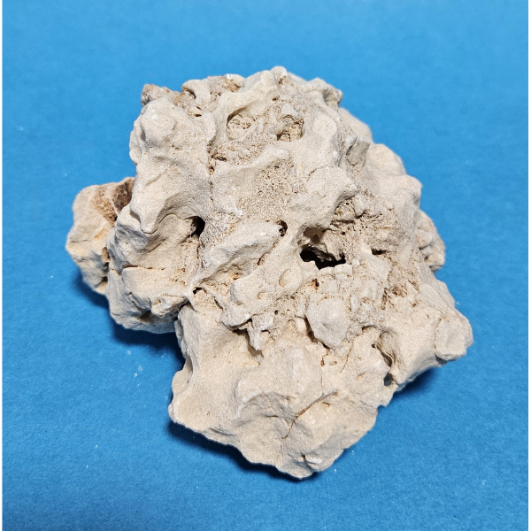 Orbit Lochgestein Sansibar S #099