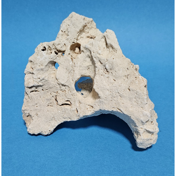 Orbit Lochgestein Sansibar S #070