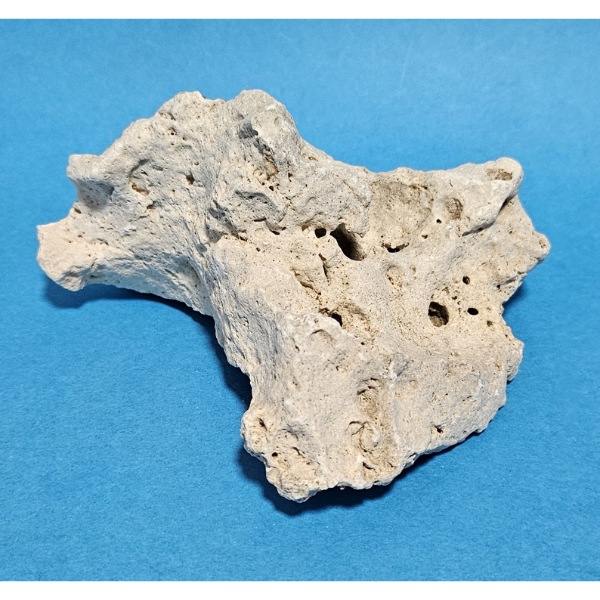 Orbit Lochgestein Sansibar S #070