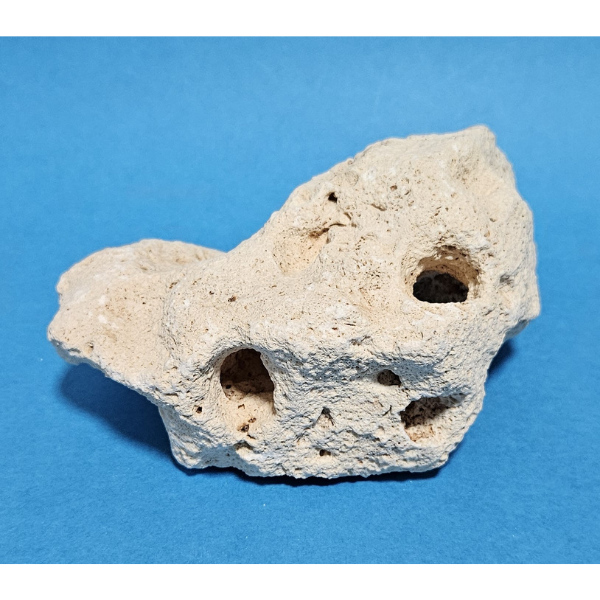 Orbit Lochgestein Sansibar S #071