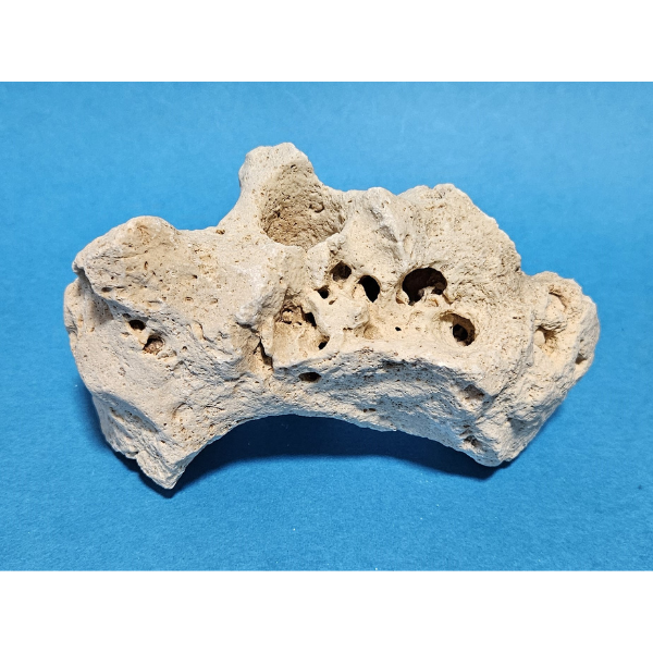 Orbit Lochgestein Sansibar S #072