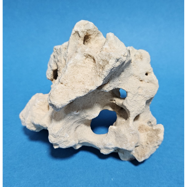 Orbit Lochgestein Sansibar S #075