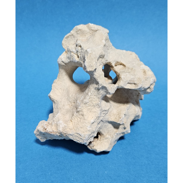 Orbit Lochgestein Sansibar S #075