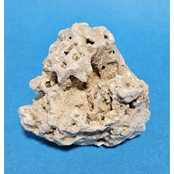 Orbit Lochgestein Sansibar S #079