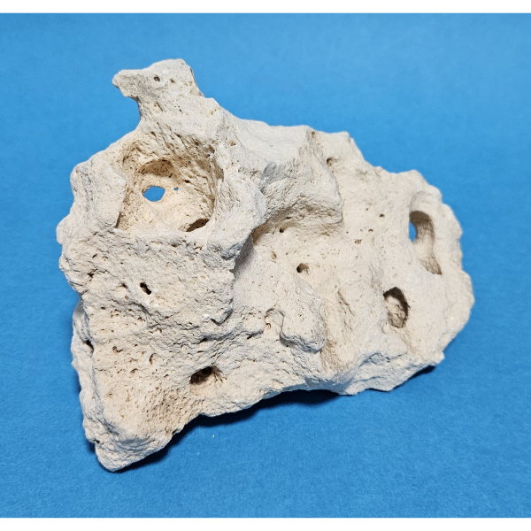 Orbit Lochgestein Sansibar S #082