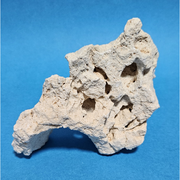 Orbit Lochgestein Sansibar S #085