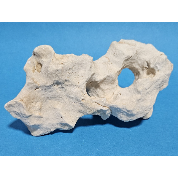 Orbit Lochgestein Sansibar S #088