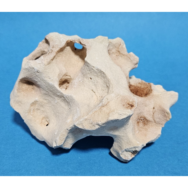 Orbit Lochgestein Sansibar S #089