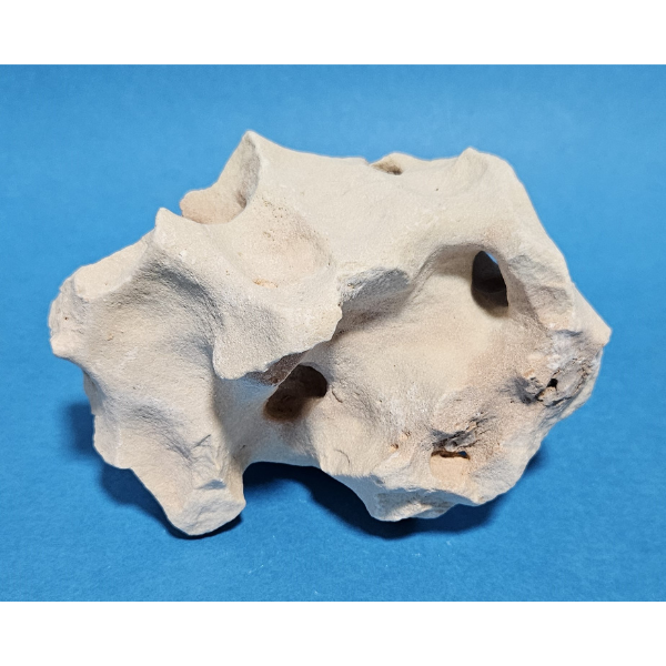 Orbit Lochgestein Sansibar S #089