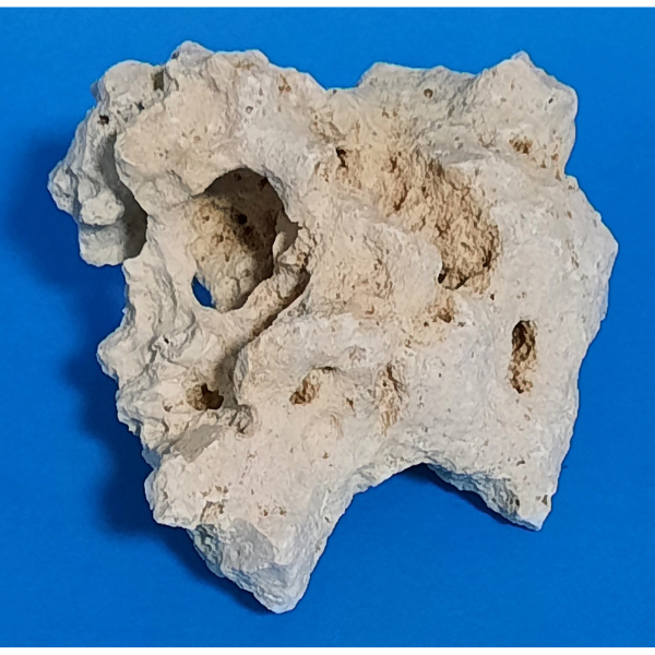 Orbit Lochgestein Sansibar S #034