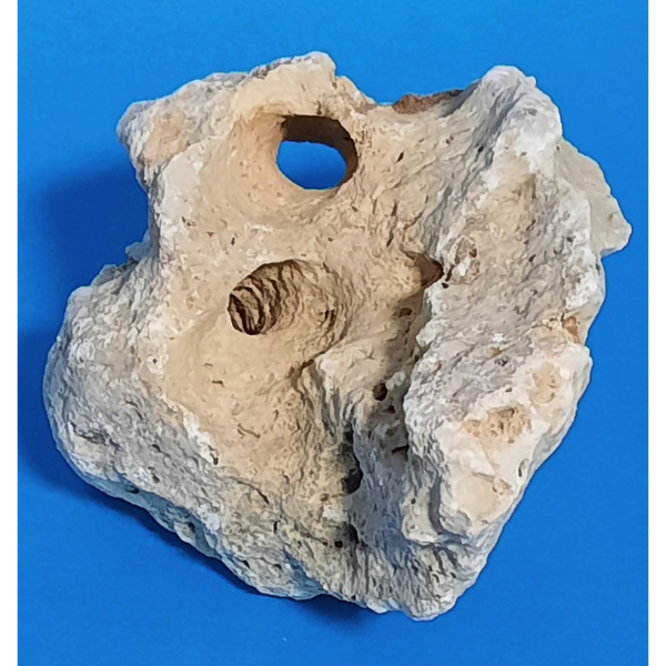 Orbit Lochgestein Sansibar S #037