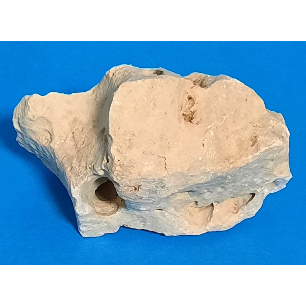 Orbit Lochgestein Sansibar S #047