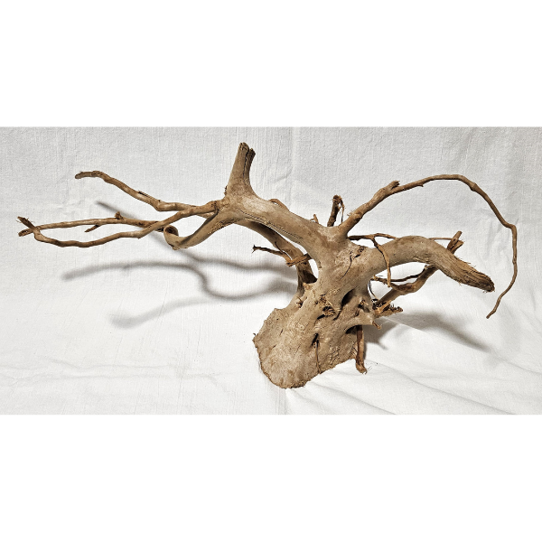 AP Moorwurzel Spiderwood L #301