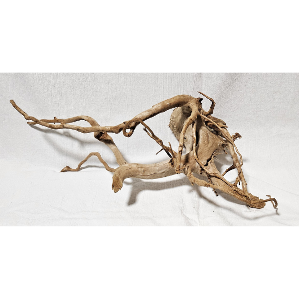 AP Moorwurzel Spiderwood L #301