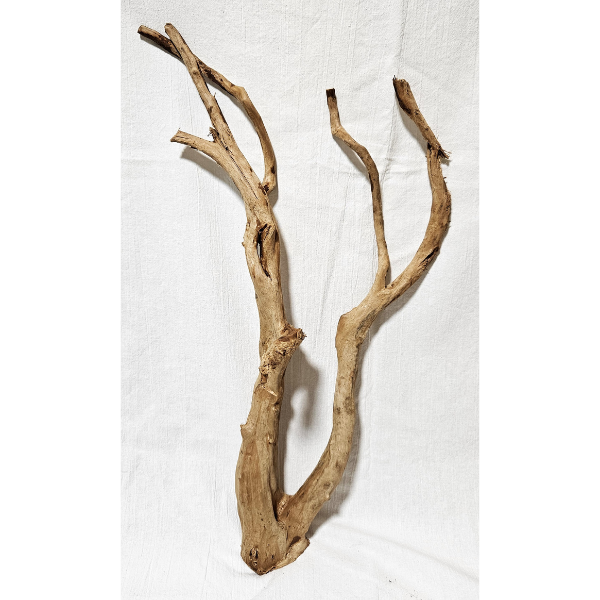 AP Moorwurzel Spiderwood L #302