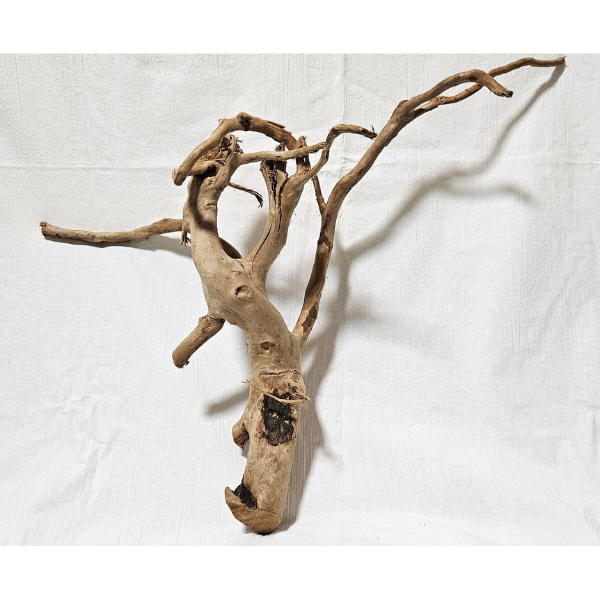 AP Moorwurzel Spiderwood L #303