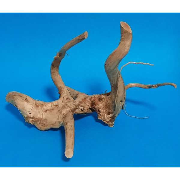 Aquadeco Rote Moorwurzel, Spiderwood XS #130