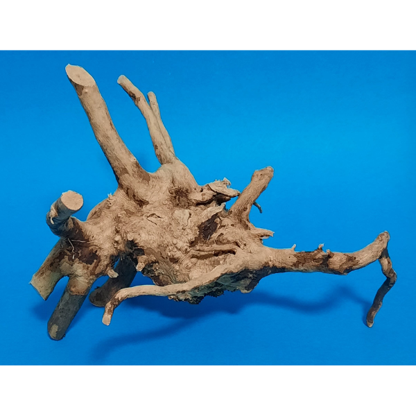 Aquadeco Rote Moorwurzel, Spiderwood XS #131