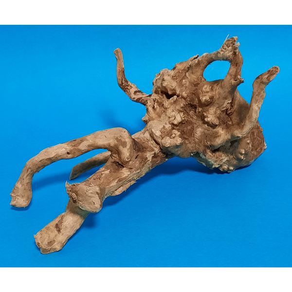 Aquadeco Rote Moorwurzel, Spiderwood XS #135