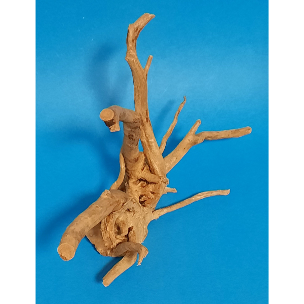 Aquadeco Rote Moorwurzel, Spiderwood XS #136