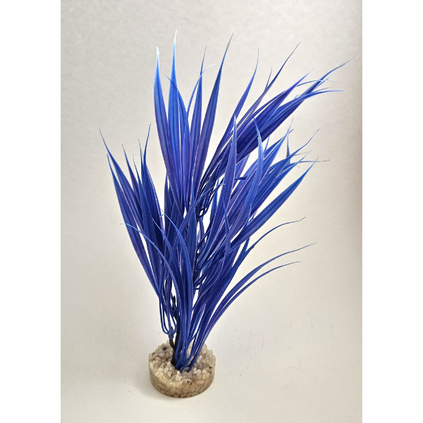 Sydeco Sword Plant 25cm