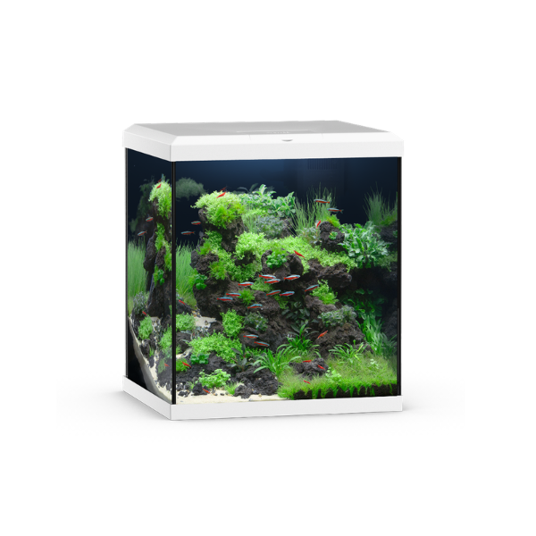 Juwel VIO CUBE 80 SBX 80l Aquarium Kombination