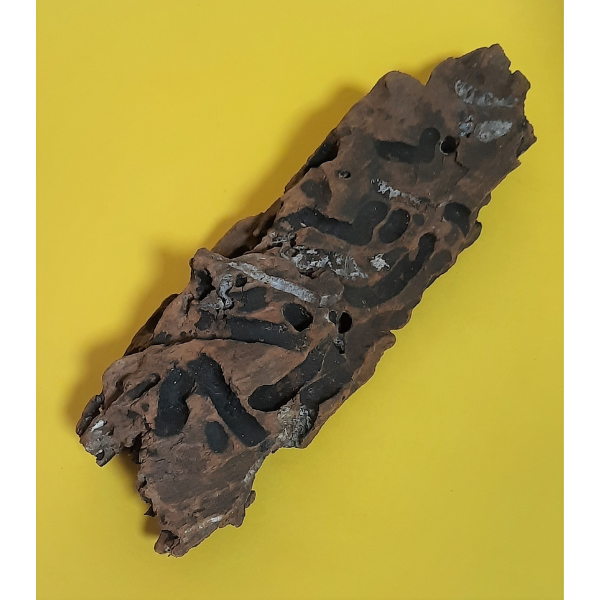 Aquadeco Wabenholz / Drachenholz S #520