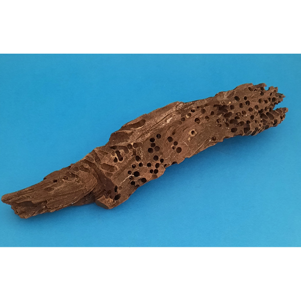 Aquadeco Wabenholz / Drachenholz S #534