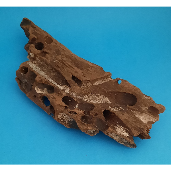 Aquadeco Wabenholz / Drachenholz S #544