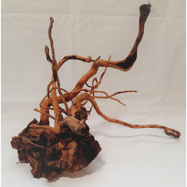 Aquadeco Rote Moorwurzel Spiderwood XL #31