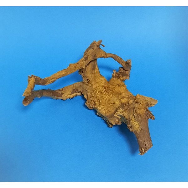 Aquadeco Rote Moorwurzel Spiderwood XS #104