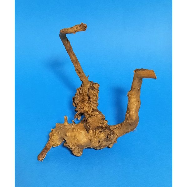 Aquadeco Rote Moorwurzel Spiderwood XS #105