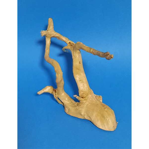 Aquadeco Rote Moorwurzel Spiderwood XS #114