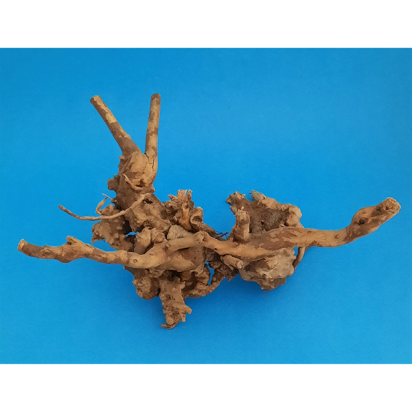 Aquadeco Rote Moorwurzel Spiderwood XS #124