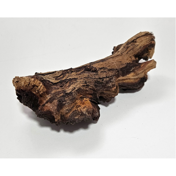 Hobby Mopani Wurzel XS 2-farbig #603