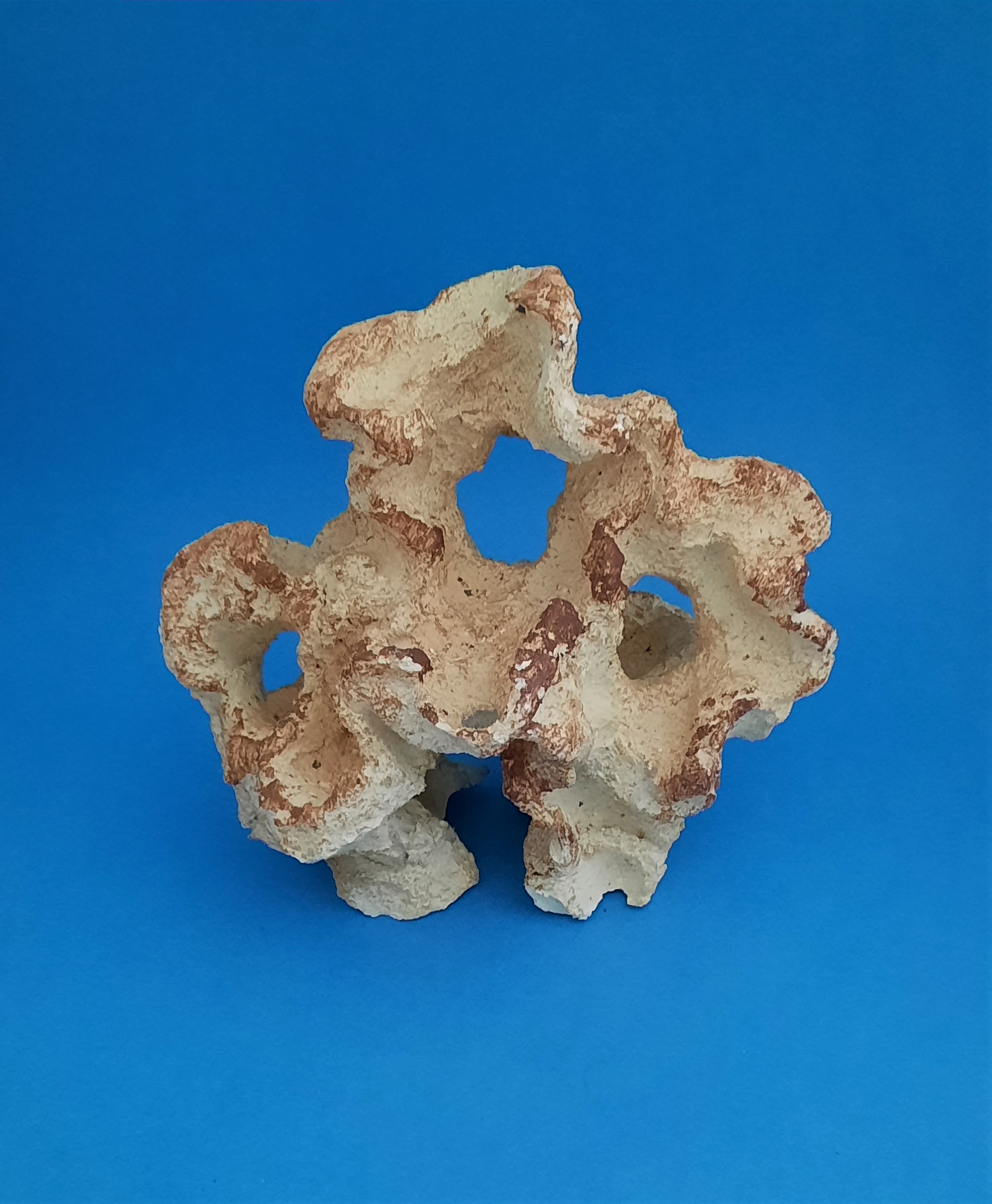 Aquaroche Cichliden Fels