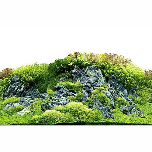 Hobby Aquarium Fotorückwand 31028 H=60cm