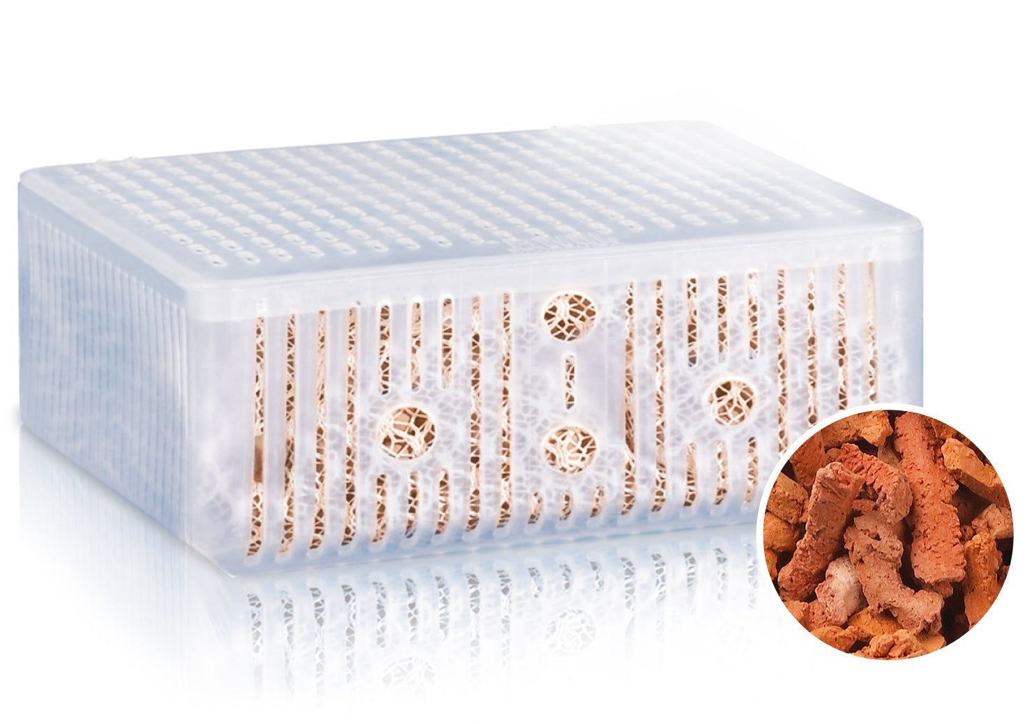 Juwel Phorax L Phosphatentferner