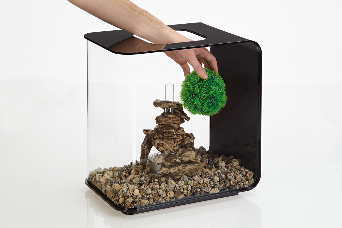 biOrb Deko Gewächs-Ball Set 3 St. grün