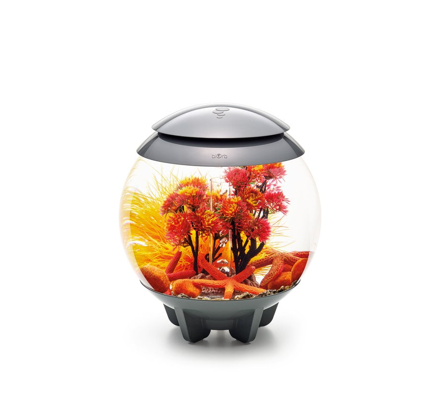 biOrb Decor Set Herbst 15l All In One Box
