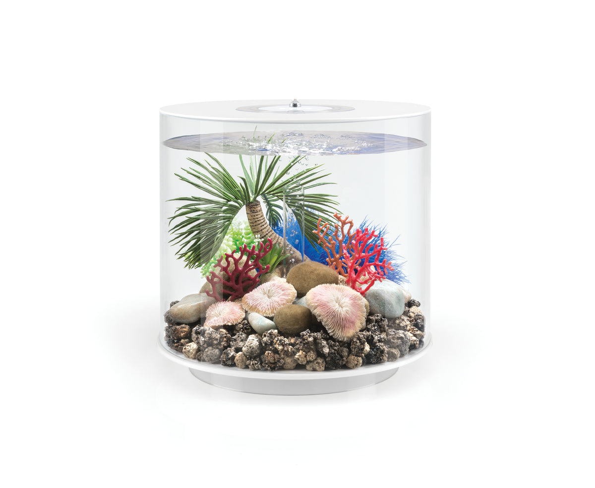 biOrb Peitschen-Korallen Set 3 St.