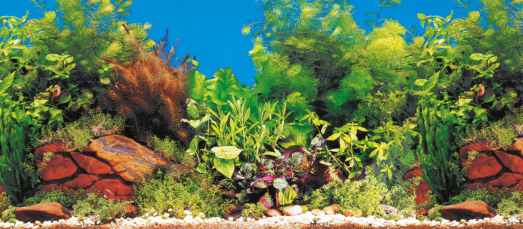 Marina Aquarium Fotorückwand 11776 H=50cm