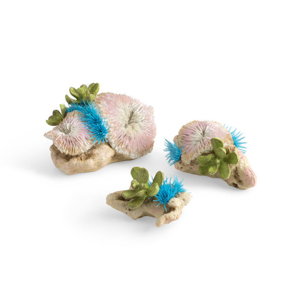 biOrb Plattenkorallen und Knopfpolypen Set 3 St.