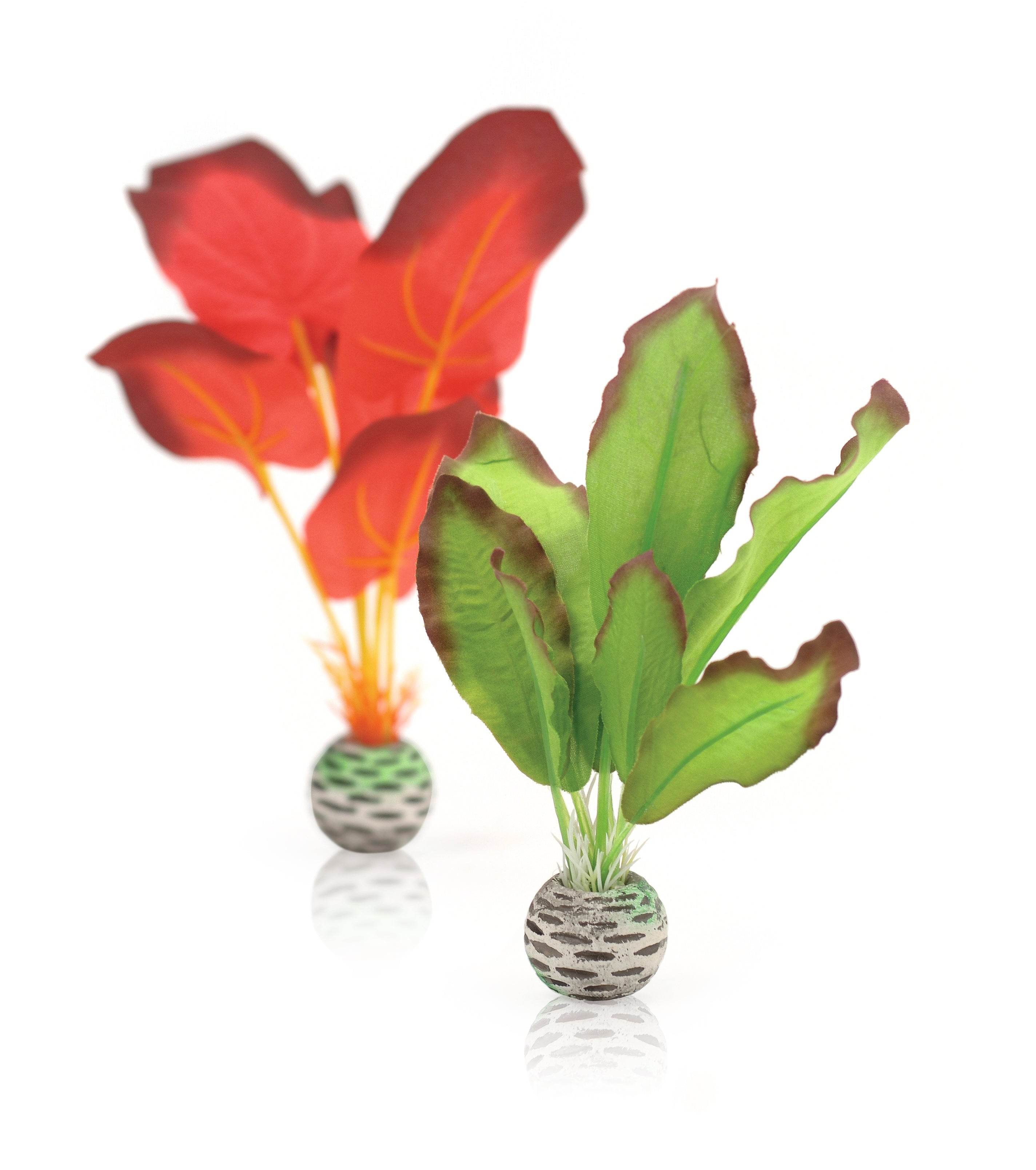 biOrb Seiden-Pflanzen Set S grün & rot