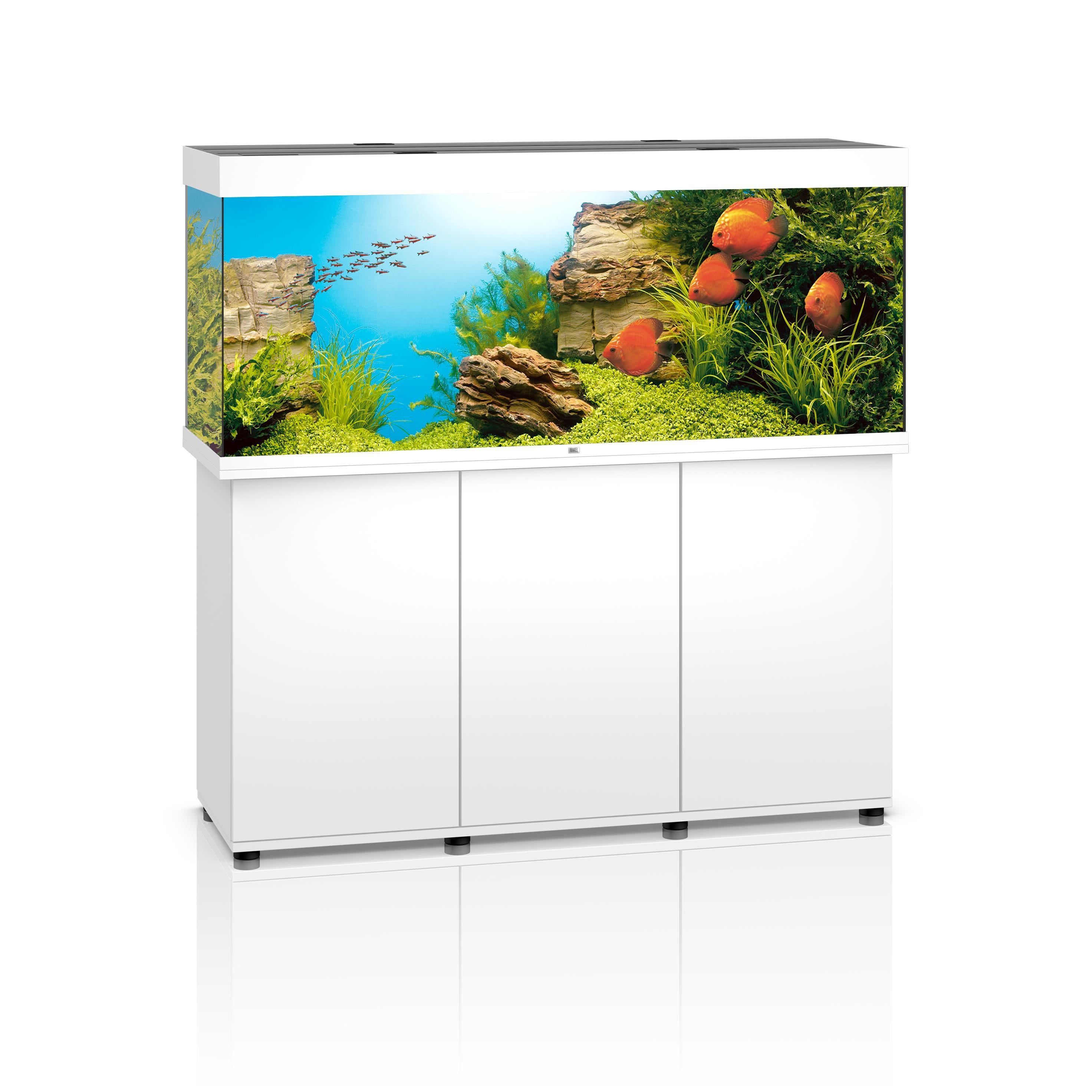 Juwel Rio 450 LED SBX 450l Aquarium Kombination